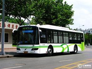 通州公交车爆料新闻最新,通州公交车突发意外!最新爆料揭示惊心动魄一幕